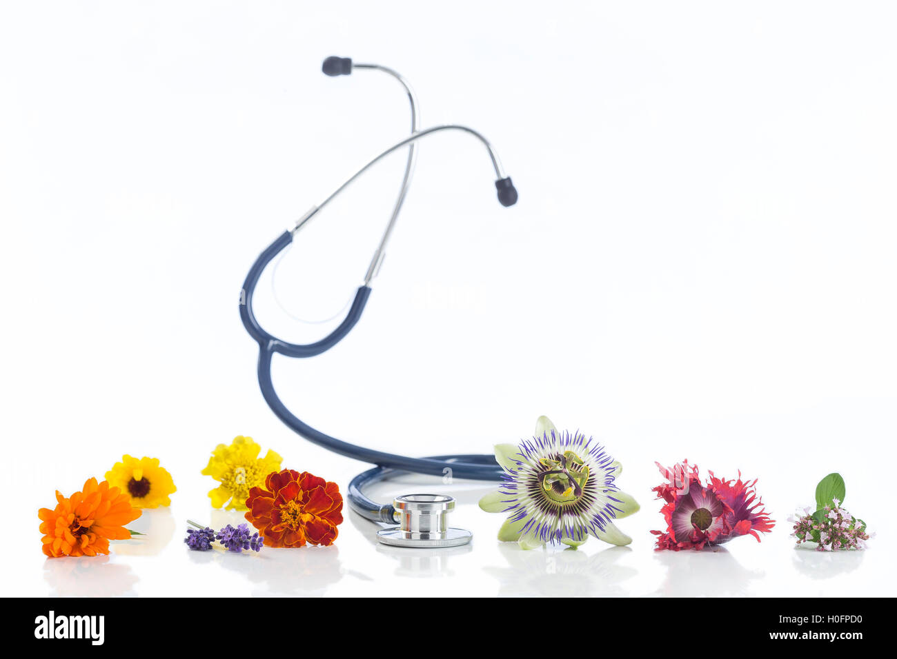Alternative Medizin Kräuter und Stethoskop Stockfoto