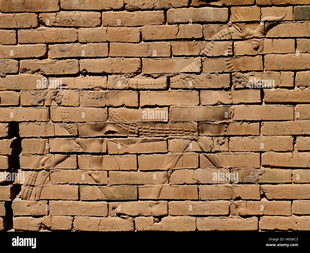 Stier als Flachrelief auf das ursprüngliche Ischtar-Tor, antiken Babylon, Irak dargestellt. Stockfoto