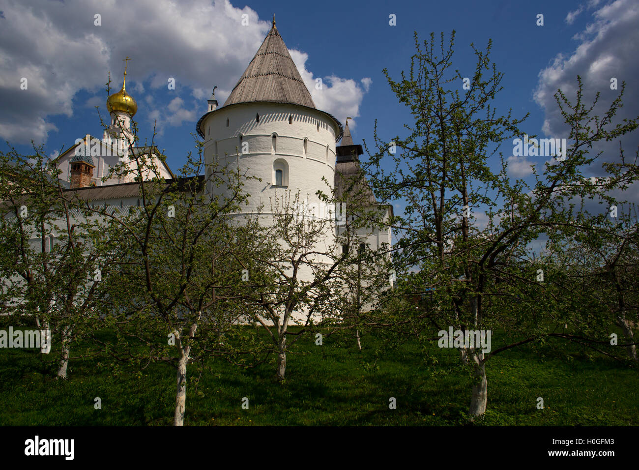 Frühling im Rostower Kreml Stockfoto