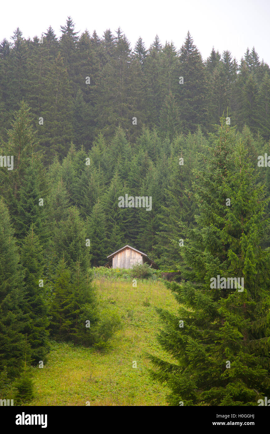 Holzhütte mit grünen Berg in Tirol, Österreich Stockfoto