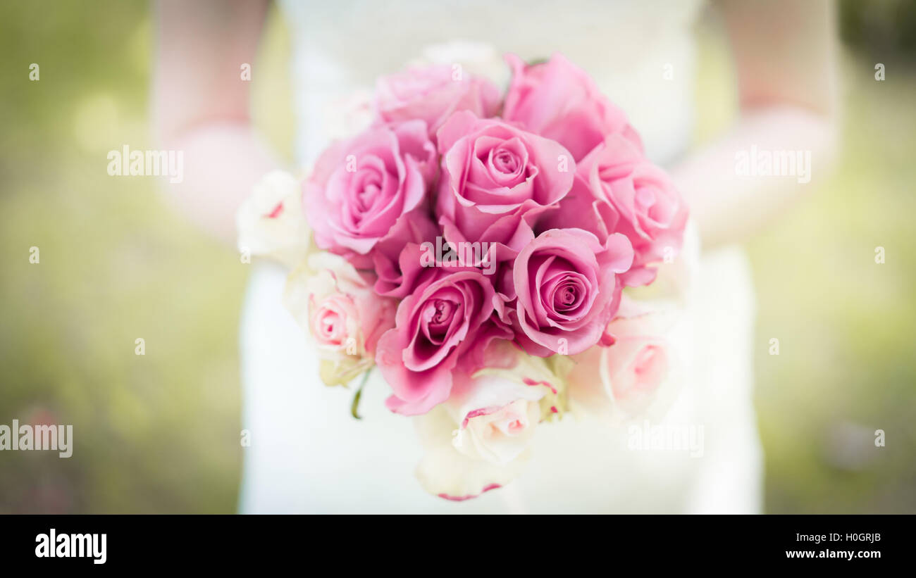 Braut zeigt das Bouquet von rosa und weißen Rosen. Stockfoto