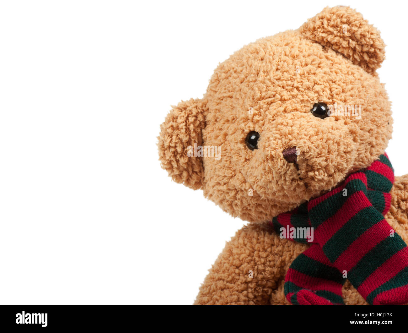 Teddy bear Stockfoto