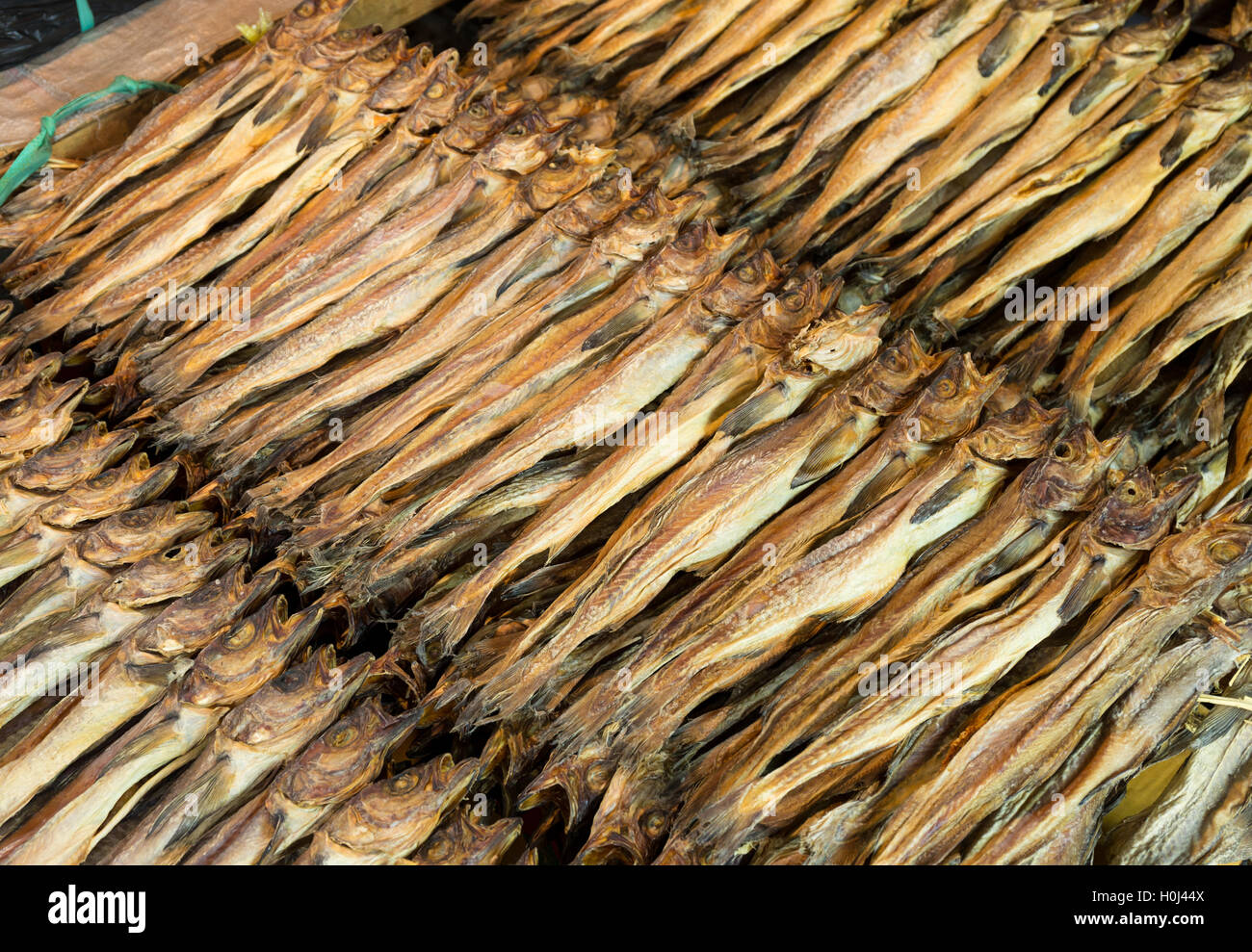 Traditionellen salzigen Fisch Stockfoto