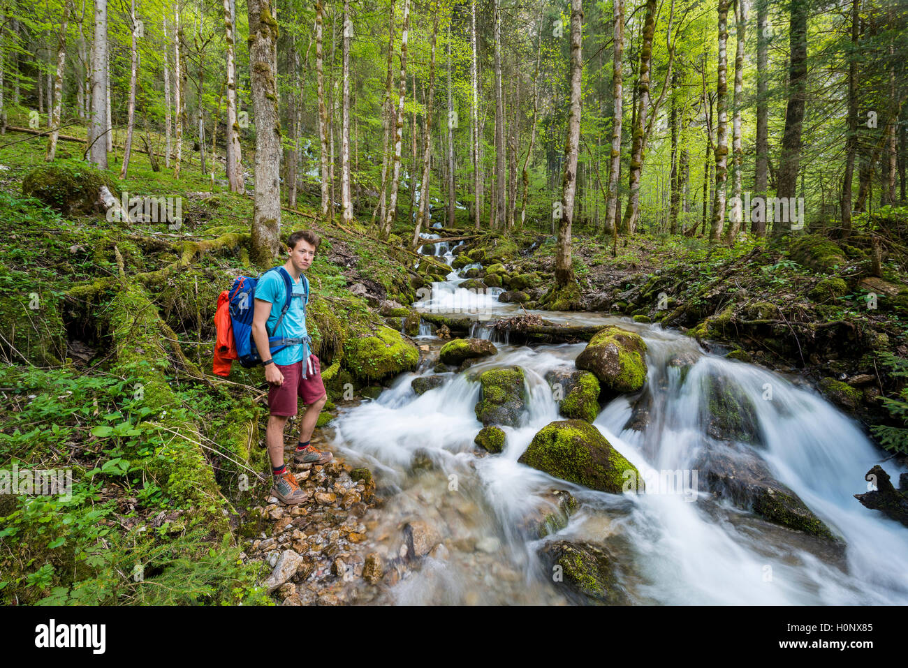 Junger Mann von einem Creek, Röthbach, mit bemoosten Steine, Fluss am Ende der Röthbach Wasserfall, Salet am Königssee Stockfoto