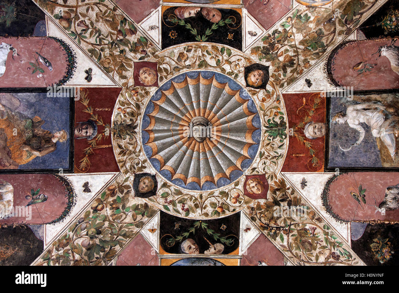 Deckenfresko im Palazzo Chigi-Saracini, Siena, Provinz Siena, Toskana, Italien Stockfoto