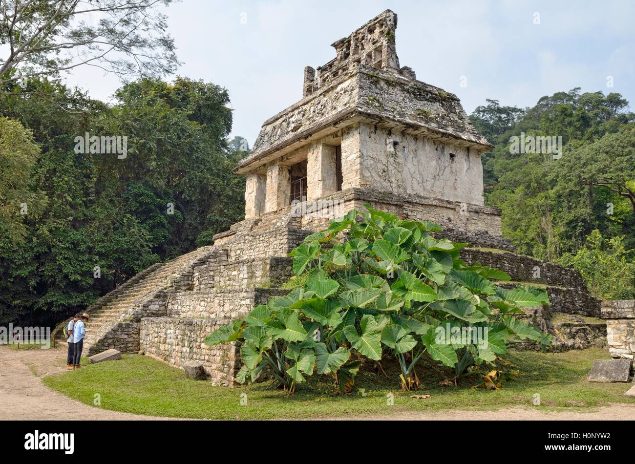 Tempel Templo del Sol, Maya Ruinen, Palenque, UNESCO-Weltkulturerbe, Palenque, der Bundesstaat Chiapas, Mexiko Stockfoto