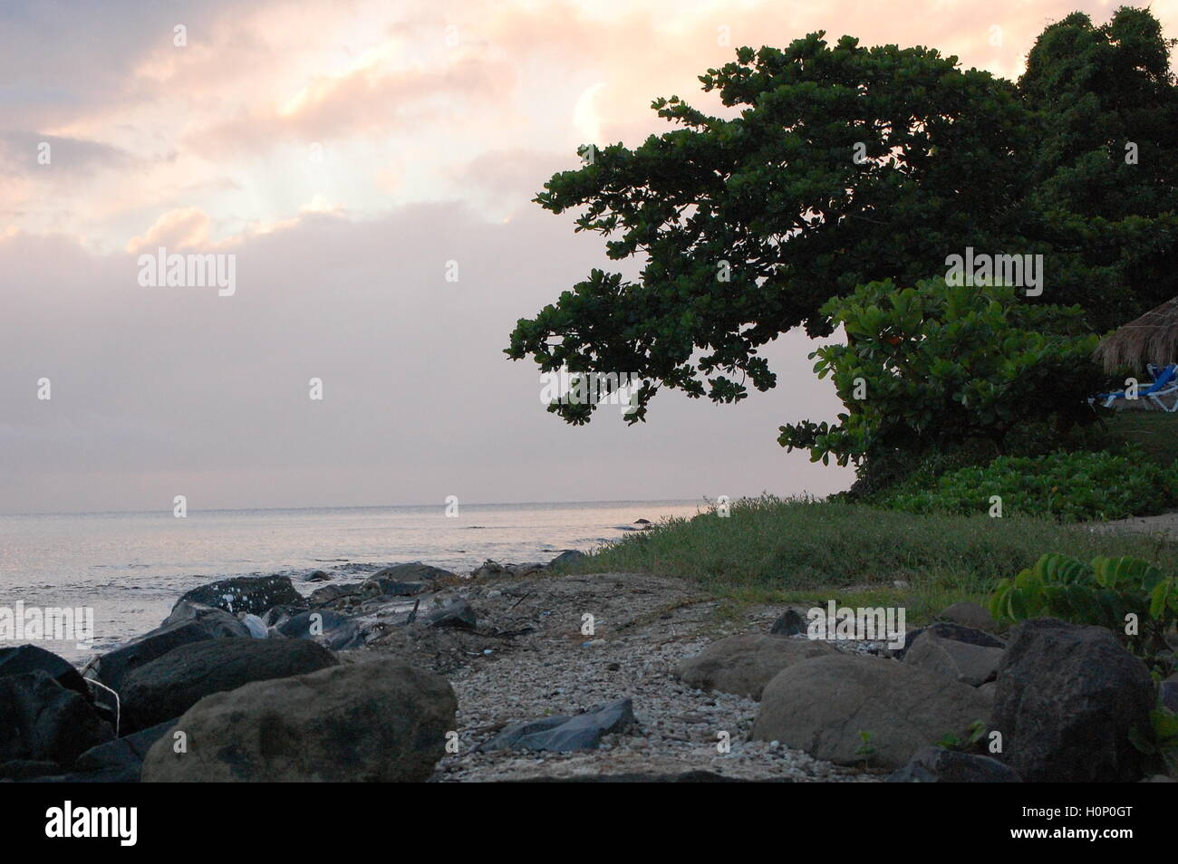 St. Lucia Ruhiger Strand Mit felsiger Küste und tropischem Baum über dem karibischen Meer. Stockfoto