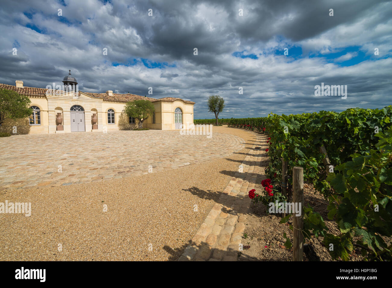 Chateau Petrus Pomerol, Bordeaux, Frankreich, EU, Europa Stockfoto