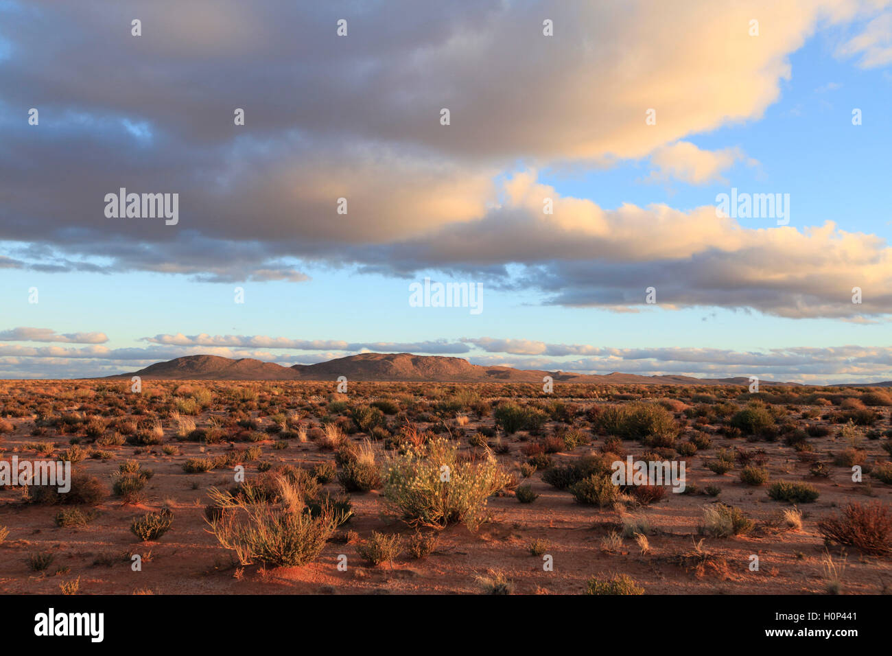 Karoo Landschaft in der Nähe von Springbok im nördlichen Kap: Stockfoto