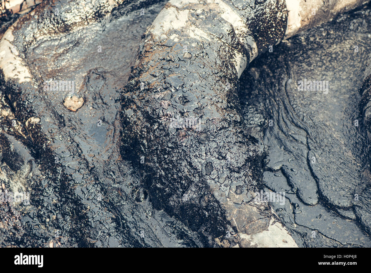 Wartung von industriellen Rohrleitungen für Heizung Wassertransport, Rekonstruktion des Systems Stockfoto