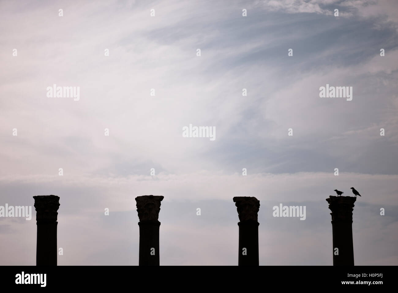 Vier Säulen der Silhouette und zwei Krähen auf einer Spalte in der antiken Stadt von Agora Basmane Izmir Türkei. Stockfoto