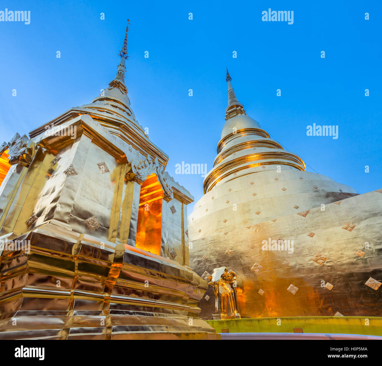 Abenddämmerung Blick auf das goldene Chedi des Wat Phra Singh Tempel, der am meisten verehrten Tempel in Chiang Mai, Thailand (Stupa). Stockfoto