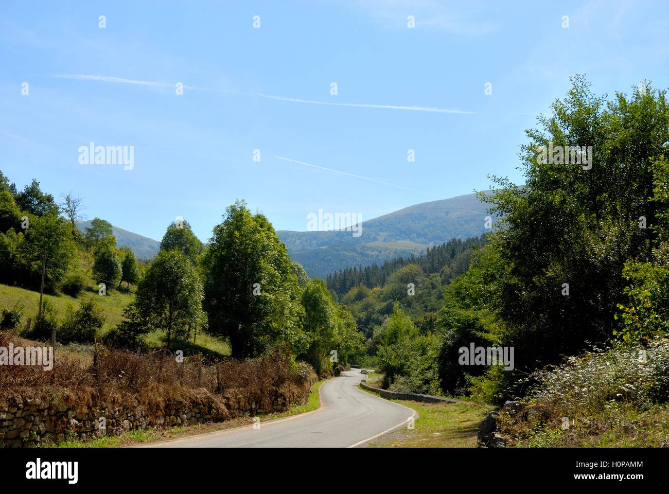 Die Straße mitten im Paradies Stockfoto