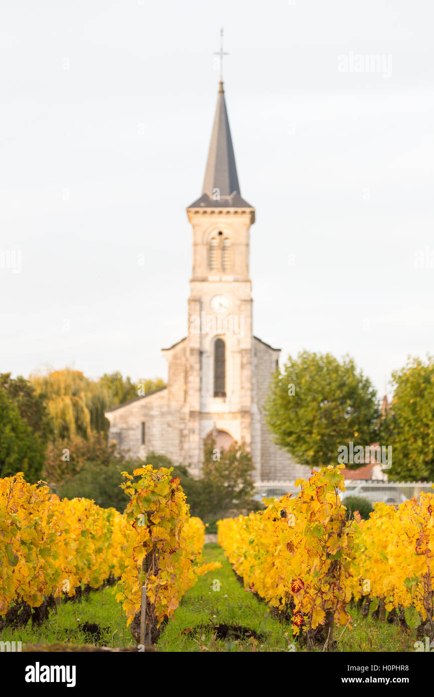 Dorfkirche, Aloxe-Corton, Côte de Beaune, Burgund, Frankreich Stockfoto