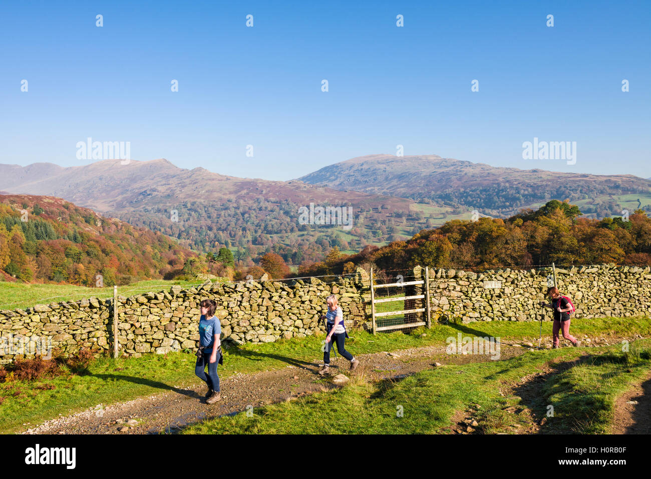 Wanderer auf dem Weg von Ambleside auf Loughrigg fiel. Lake District National Park. Cumbria. England. Stockfoto