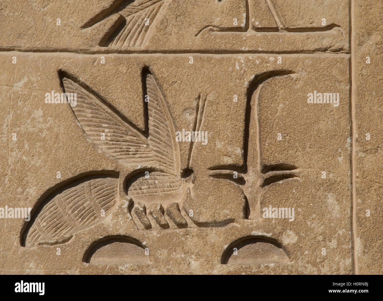 Ägypten. Nekropole von Sakkara. Hieroglyphenschrift. Relief Darstellung Oberägypten symbolisiert mit einem Ansturm und Unterägypten mit einer Biene symbolisiert. Altes Königreich. Stockfoto