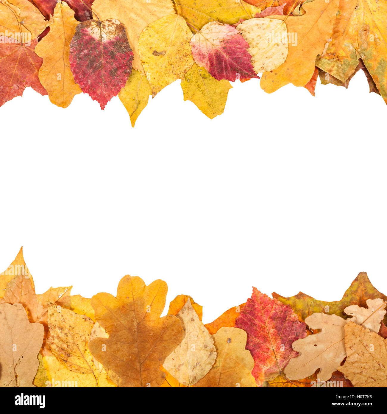 obere und untere Rahmen ab Herbst Blätter mit leeren ausgeschnitten Raum Stockfoto