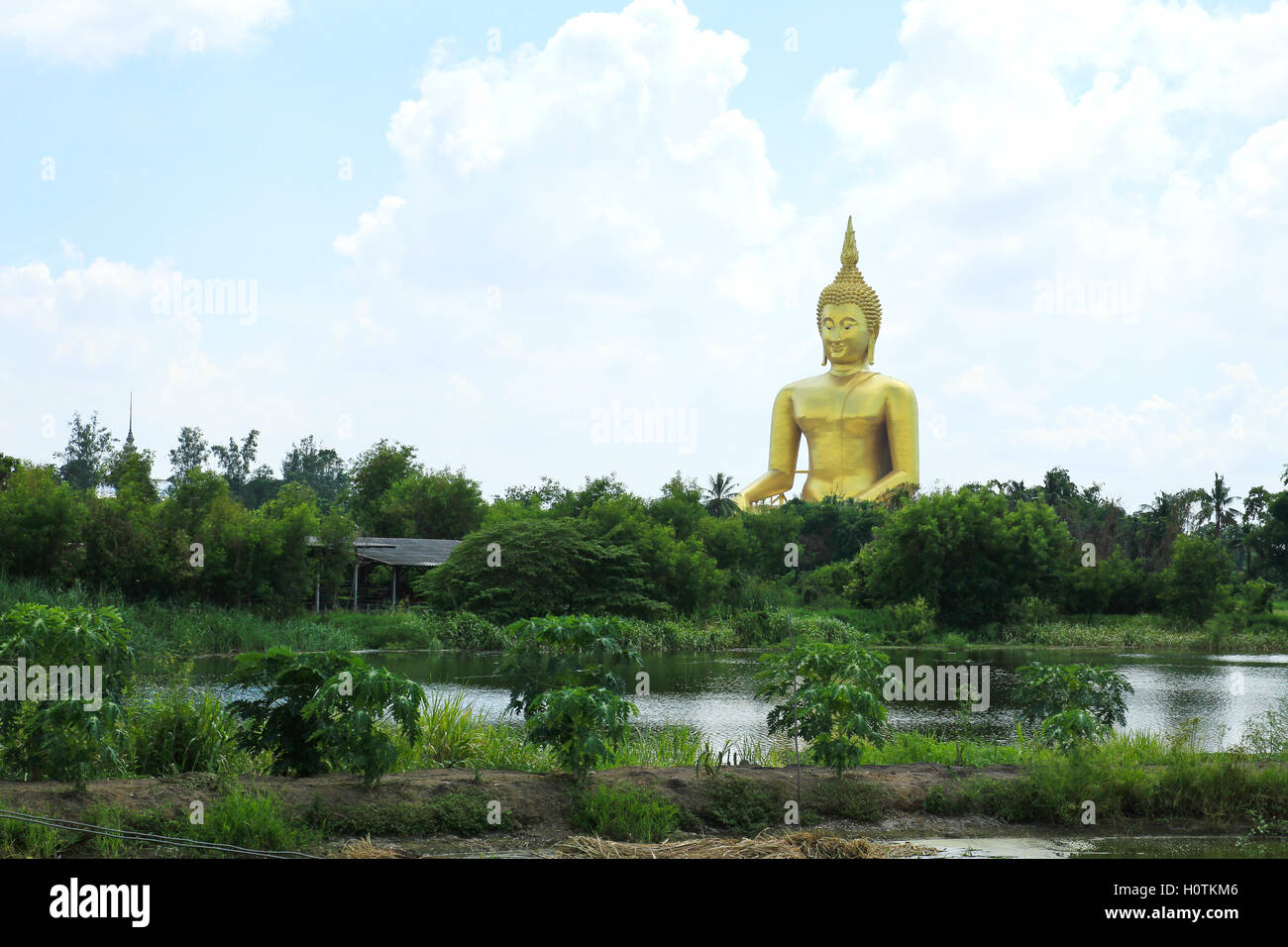 Große goldene und Kunst des Buddha am Wat Muang, Angthong Provinz, Thailand Stockfoto