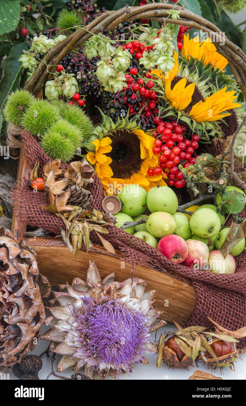 Hölzerne Korb voller geernteten Früchte, Blumen und Beeren im Herbst Harrogate Blumenausstellung. Harrogate, North Yorkshire, England Stockfoto