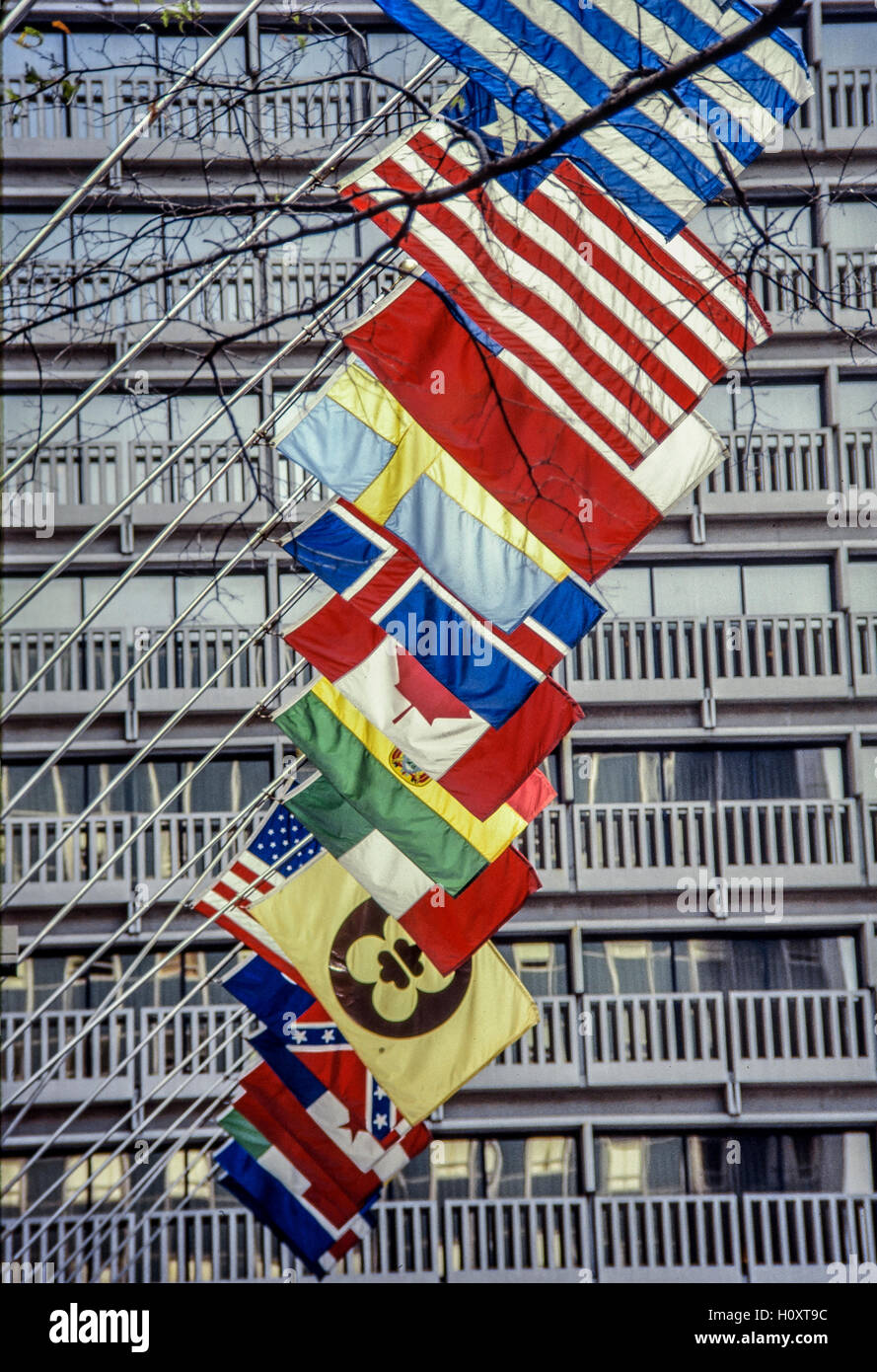 Internationalen Flagge hissen. Stockfoto