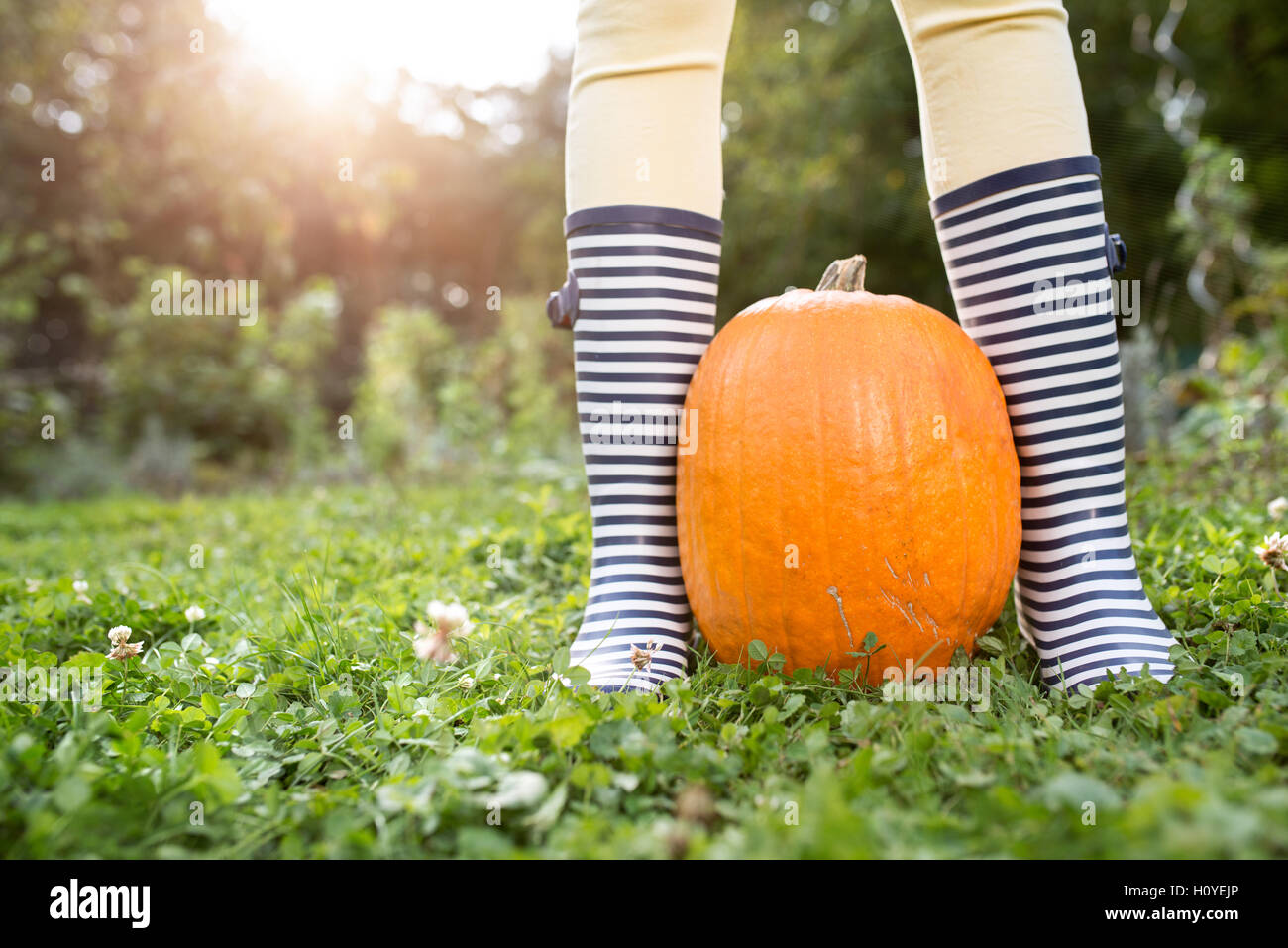 Nicht erkennbare Frauen in gestreiften Gummistiefel mit orange Kürbis Stockfoto