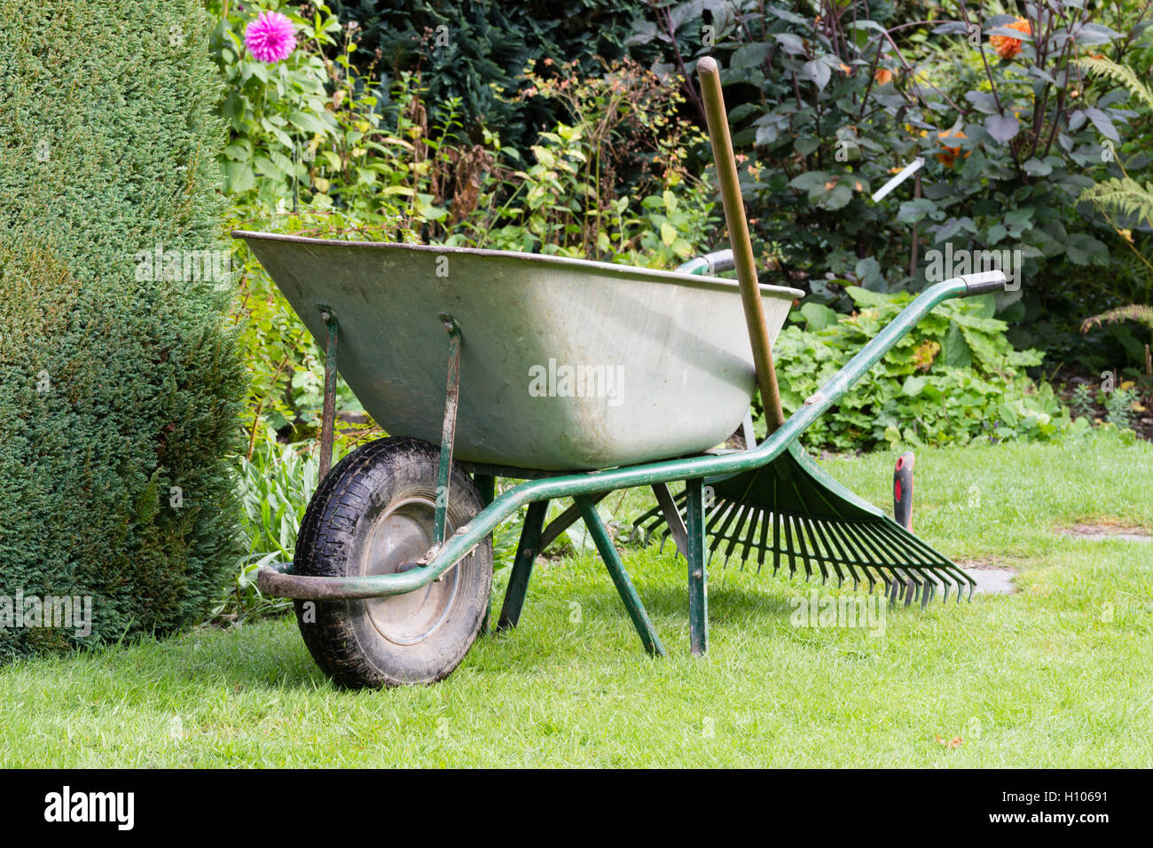 Schubkarre, Rasen Rechen und Kelle bereit für die Arbeit in einem großen Garten Stockfoto