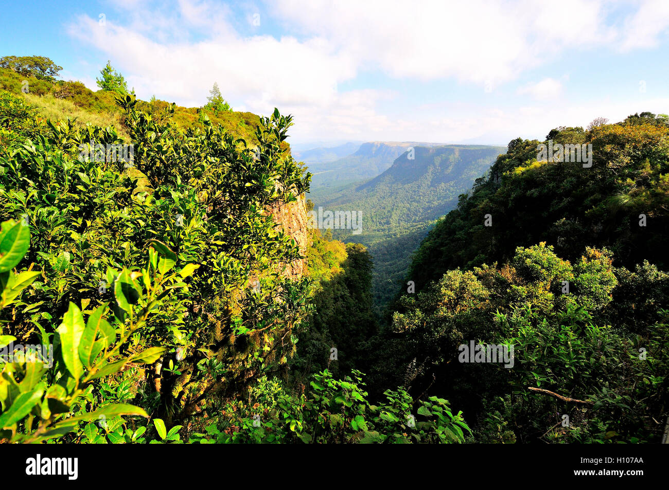 Gottes Fenster - so genannt für den Panoramablick auf Das Lowveld (Und in der Ferne der Krüger Nationalpark und Mosambik) Südafrika Stockfoto
