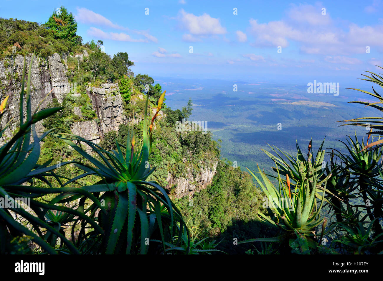 Gottes Fenster - so genannt für den Panoramablick auf Das Lowveld (Und in der Ferne der Krüger Nationalpark und Mosambik) Südafrika Stockfoto