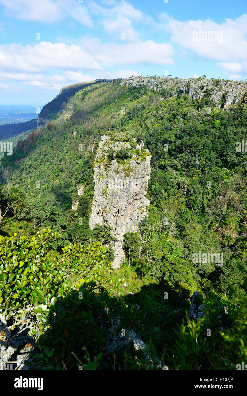 Der Pinnacle Rock, ein turmarchiger freistehender Quarzit-Stützpfeiler, der sich 30 m über dem dichten Urwald rund um Graskop, Südafrika, erhebt Stockfoto