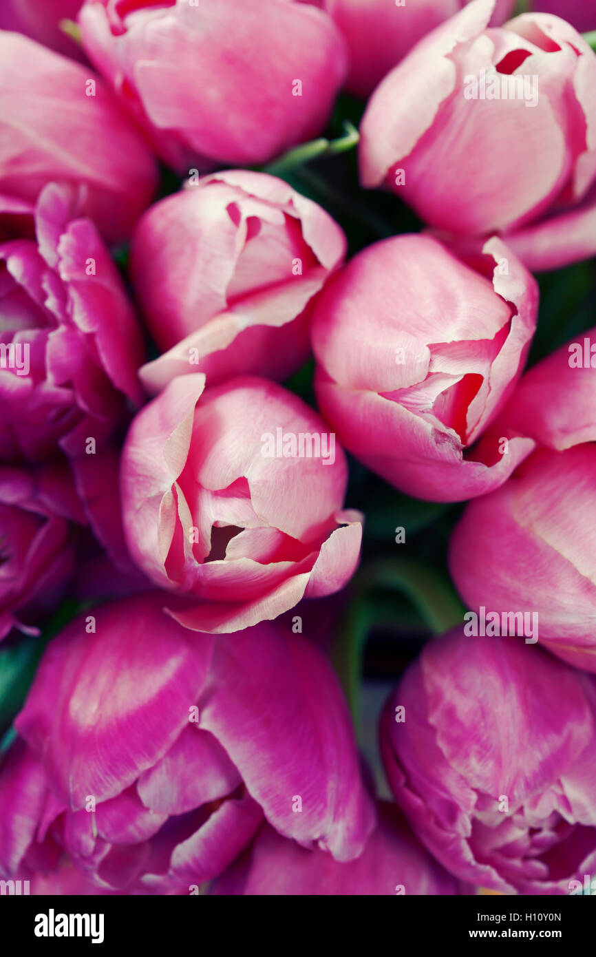 gefälschte Tulpen Stockfoto
