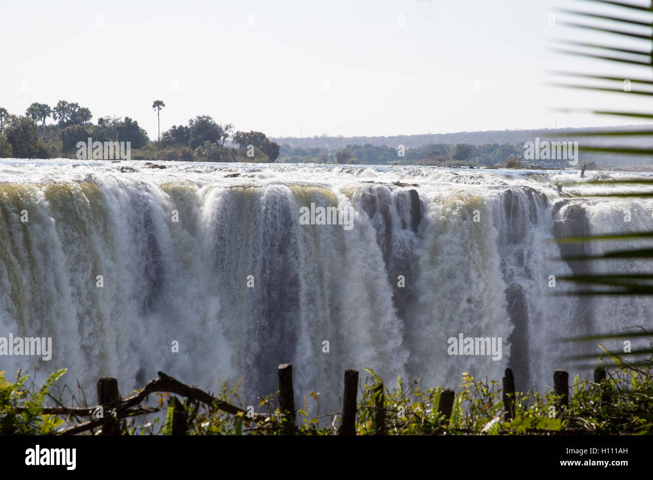 Die Victoria Falls-Wasserfälle, wo der Sambesi zwischen Simbabwe und Sambia in eine enge Schlucht zwischen den Ländern stürzt Stockfoto