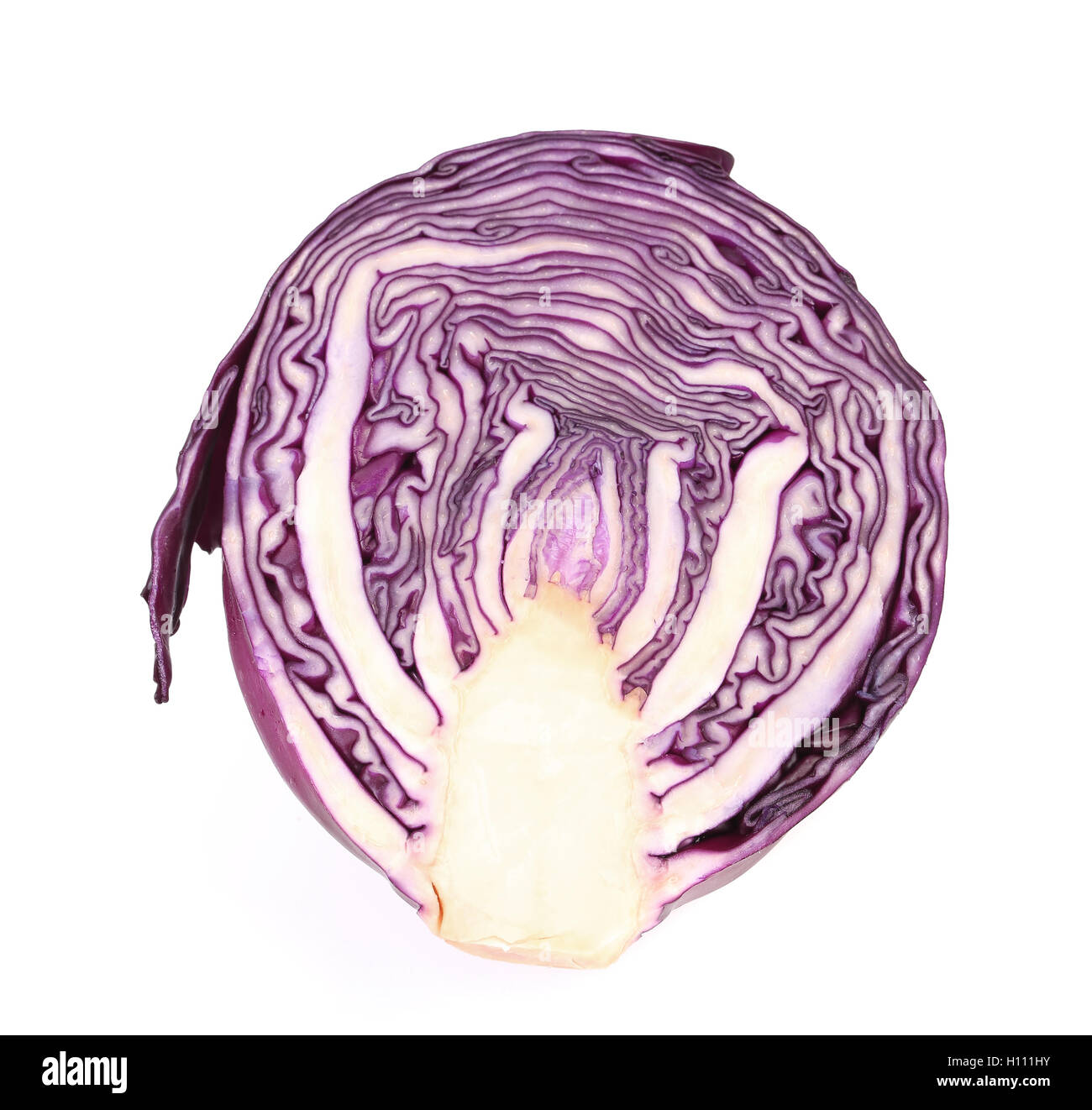 Scheibe des Veilchens angebaut Kohl. Stockfoto