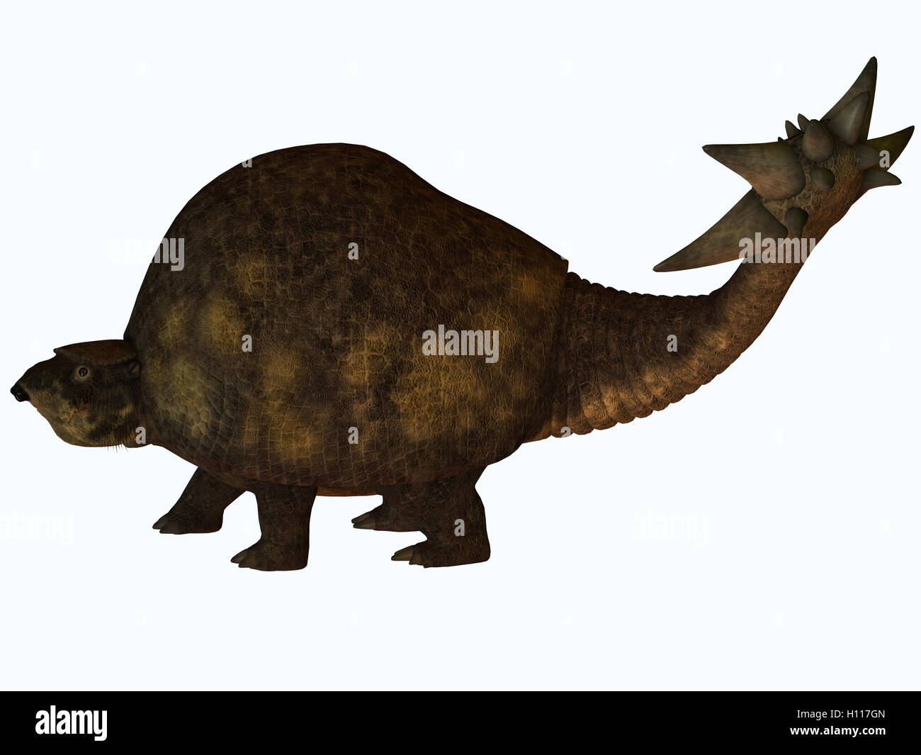 Glyptodont Profil Stockfoto