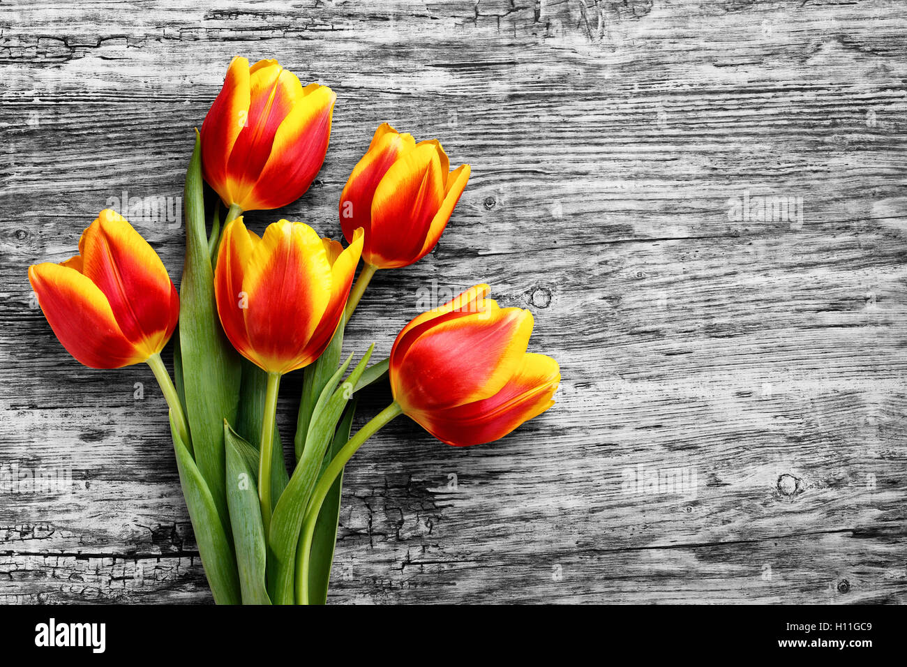 schöner Blumenstrauß rote und gelbe Tulpen. 8. Festival im März Stockfoto
