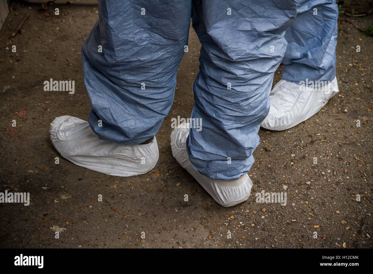Terrorismusbekämpfung gerichtsmedizinischen Teams suchen und Entfernen von Elementen aus islamistischen terroristischen Michael Adebowale's Flat in South East London, UK. Stockfoto