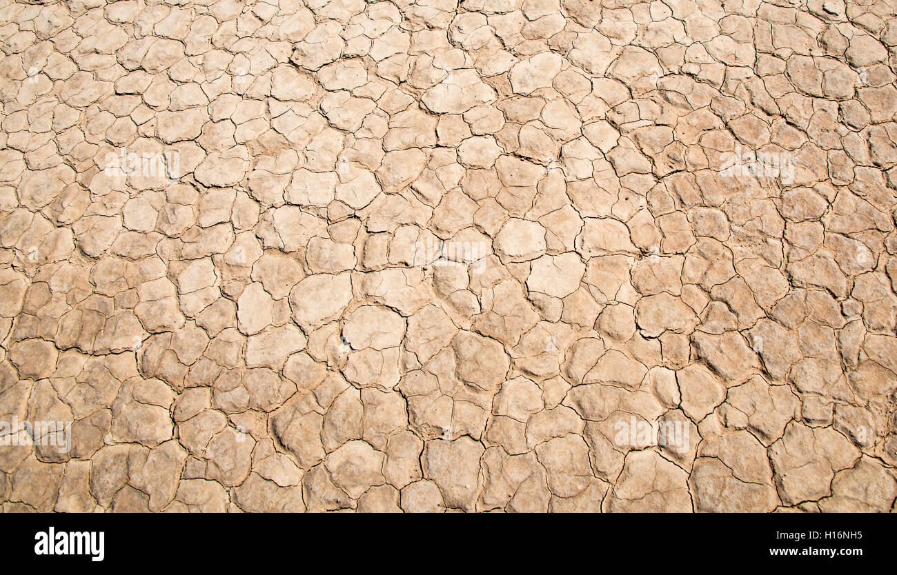 Getrocknete Erde, mudcracks, Death Valley, Death Valley National Park, Kalifornien, USA Stockfoto