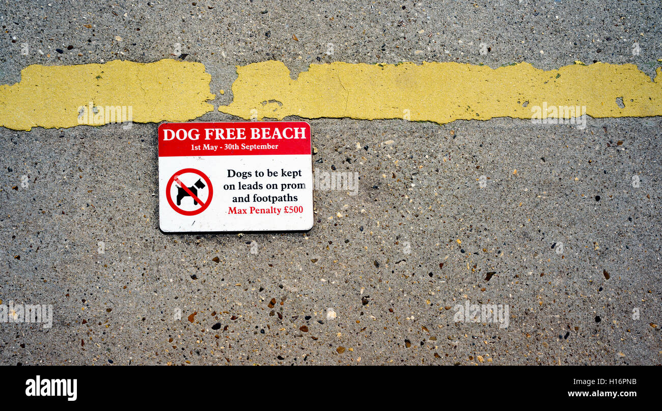 Keine Hunde auf dem Strand-Schild zeigt eine Strafe für das Brechen der Regeln. Stockfoto