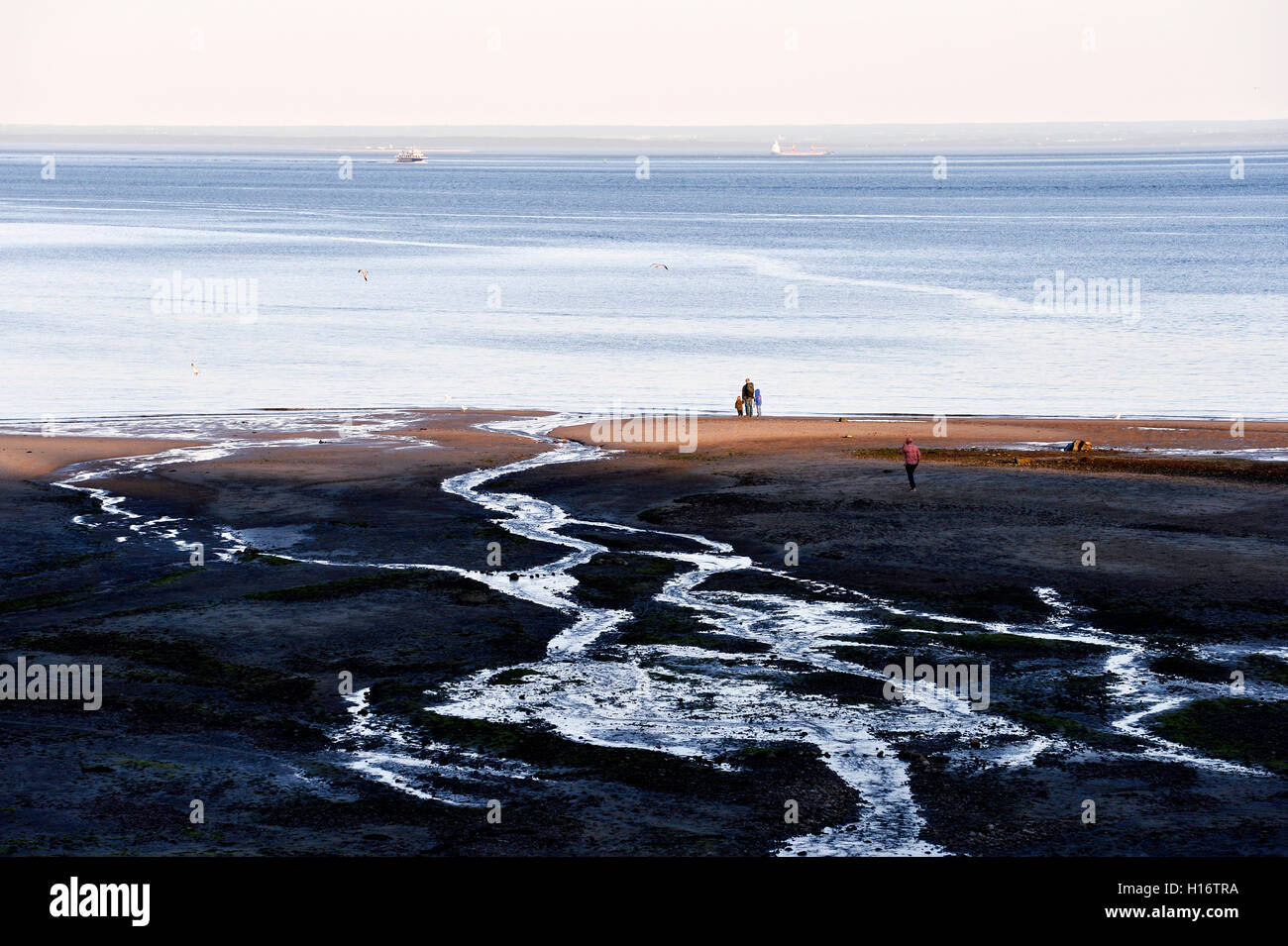 Die Ebbe des St. Lawrence River in Tadoussac Stockfoto