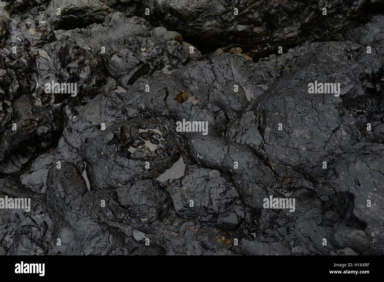 Kissen-Lava am Strumble Head unter Wasser Millionen von Jahren, als dieses Teil von Wales Volcanic wurde gebildet Stockfoto