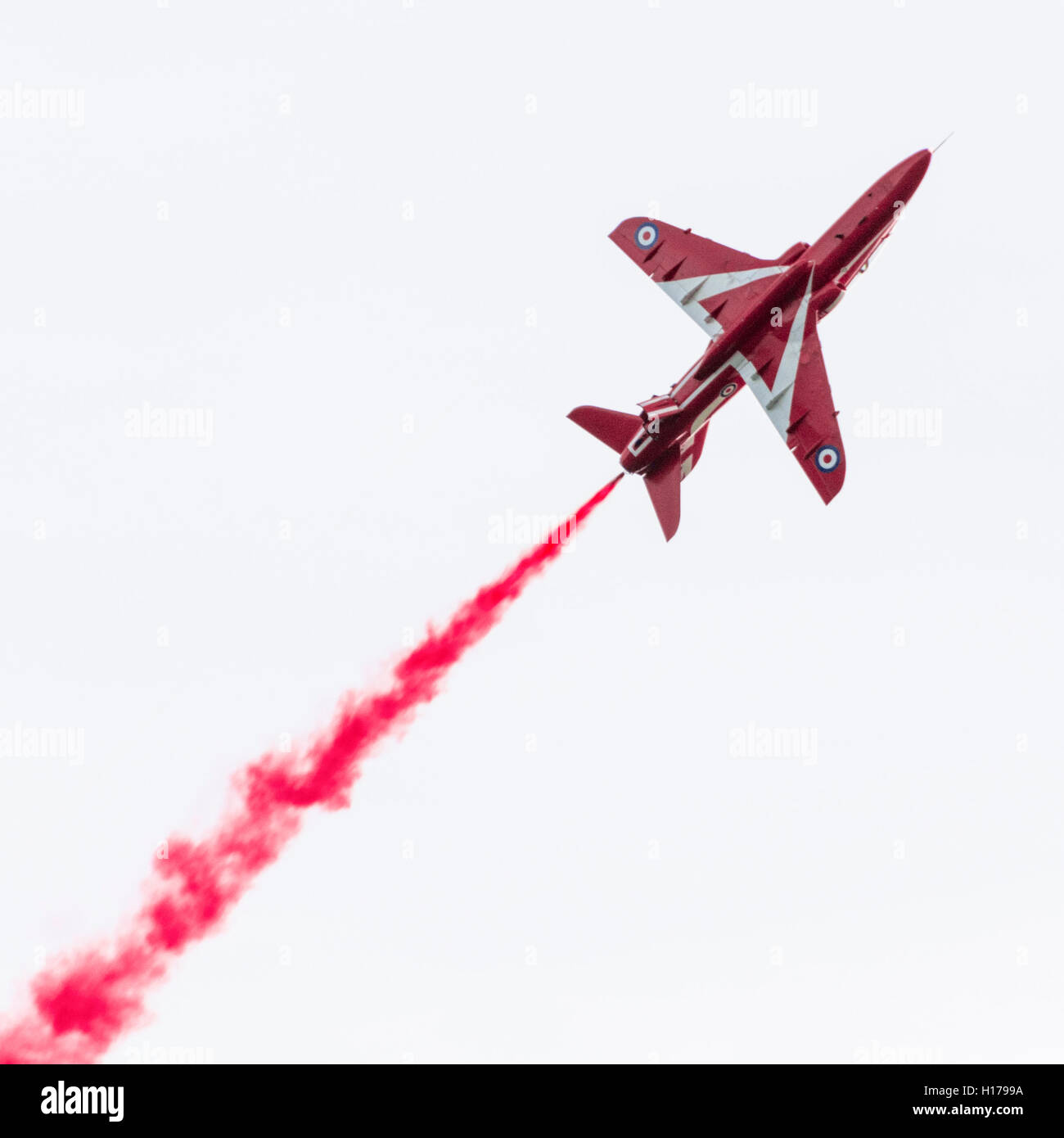 Die Red Arrows oder Kunstflugstaffel der Royal Air Force in Derbyshire für Anzeigen der Chatsworth Country Fair, September 2016 Stockfoto