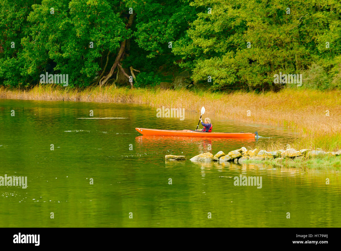 Sundsby, Schweden - 9. September 2016: Reisedokumentation Frau Paddeln auf ruhigen Wald Wasser einen leicht nebligen Tag im Stockfoto