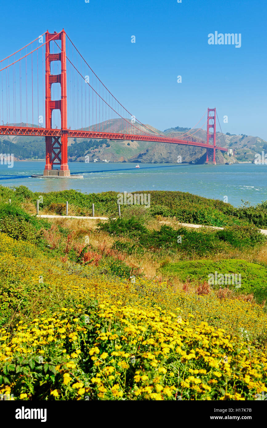Golden Gate Bridge mit Blumen am Hang im Vordergrund, San Francisco, Kalifornien, USA Stockfoto