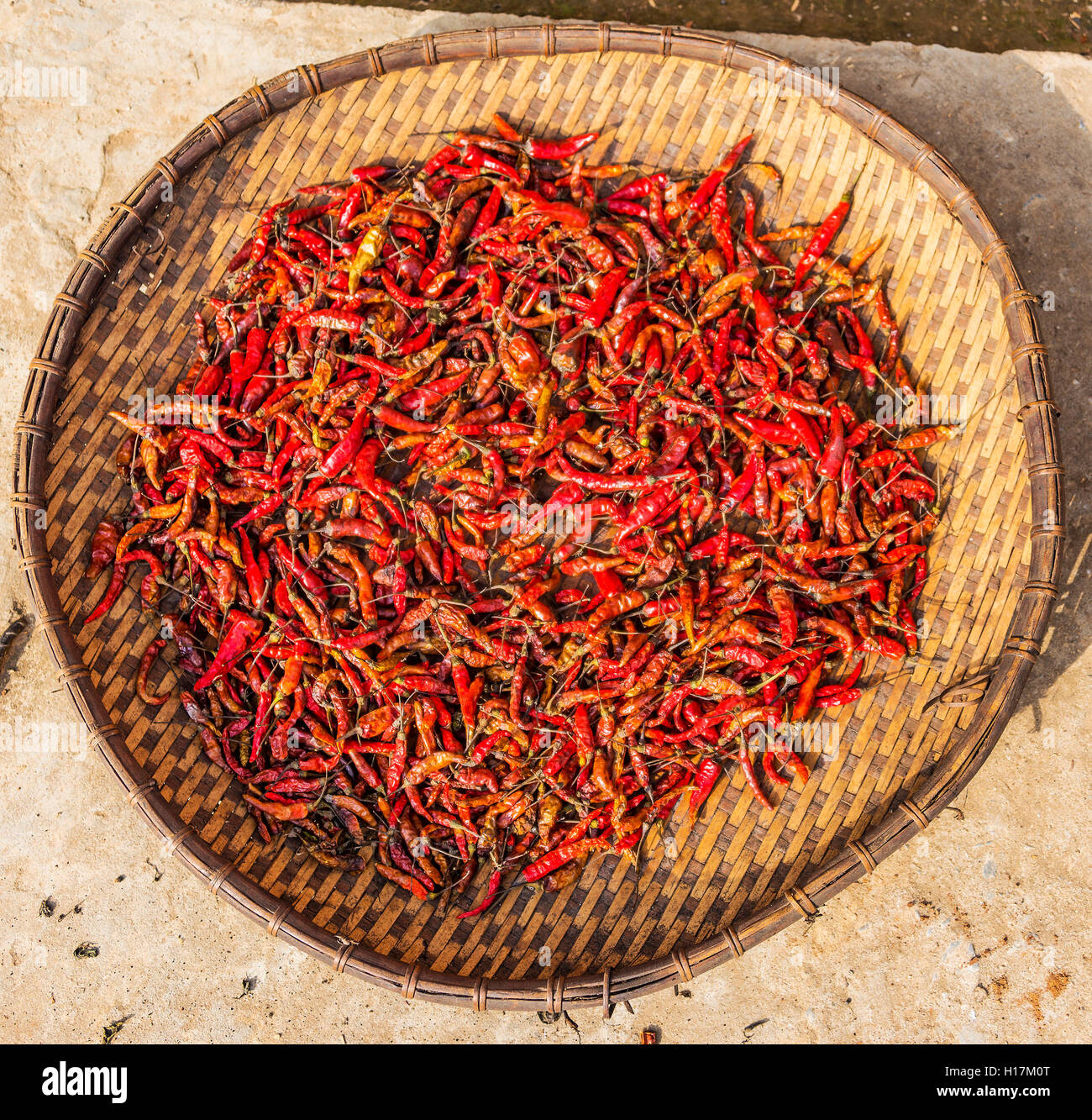 Chilis Trocknen im Korb, Nong Khiaw, Luang Prabang, Laos Stockfoto Chilis Trocknen im Korb, Nong Khiaw, Luang Prabang, Laos Stockfoto
