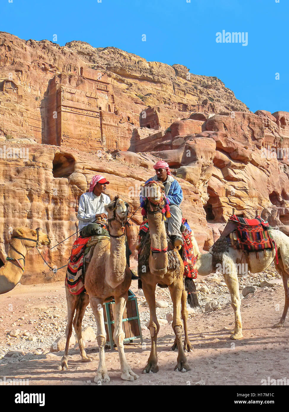 touristisch Kamele in Petra, Jordanien Stockfoto