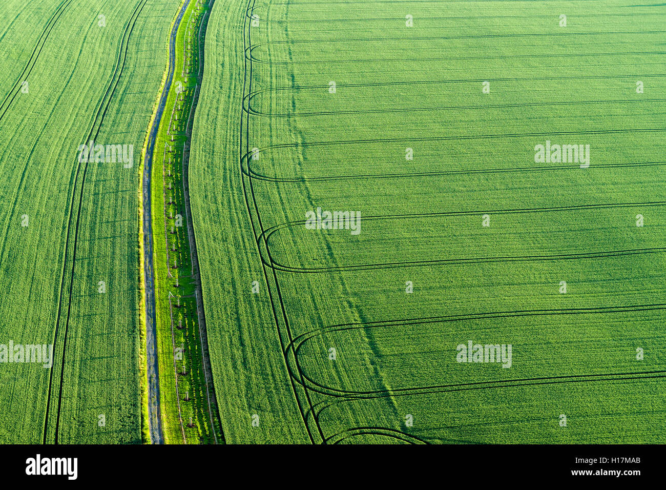 Fußweg und den Titel von einem Traktor auf ein grünes Feld, Königstein, Sachsen, Deutschland Stockfoto