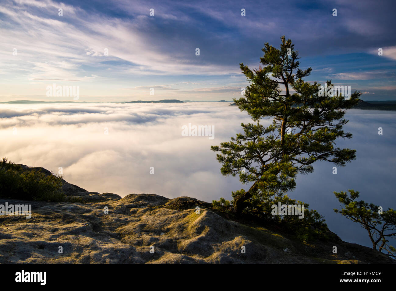 Dichter Nebel füllt das Tal der Elbe im Elbsandsteingebirge, von lilienstein gesehen bei Sonnenaufgang, Königstein, Sachsen Stockfoto