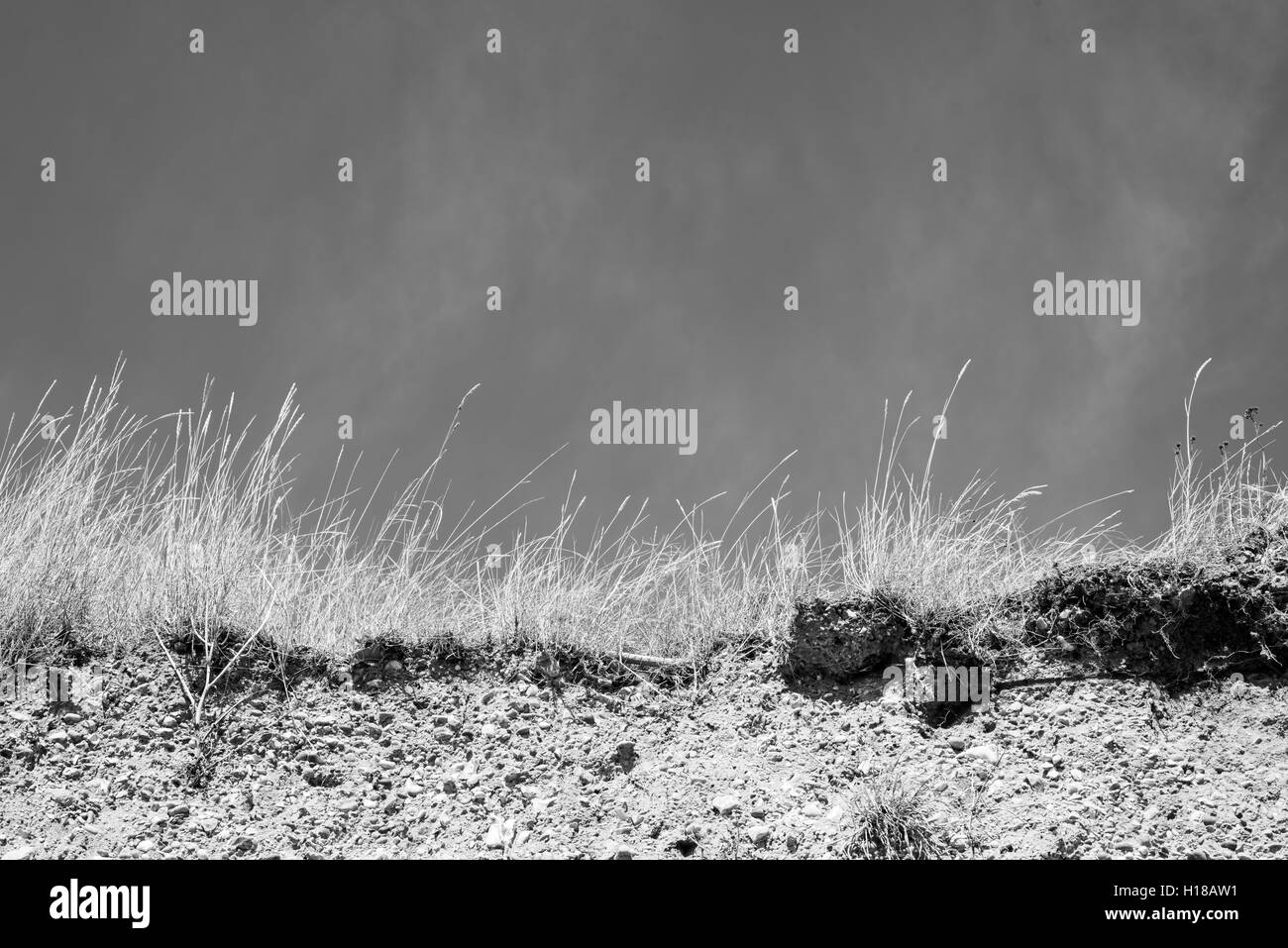 Klippe Gesicht Strand Erosion mit Rasen Büschel und düstere Himmel Stockfoto