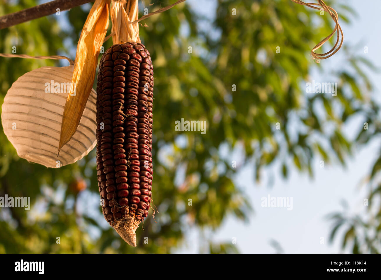 Anfang Herbst Szene Stockfoto