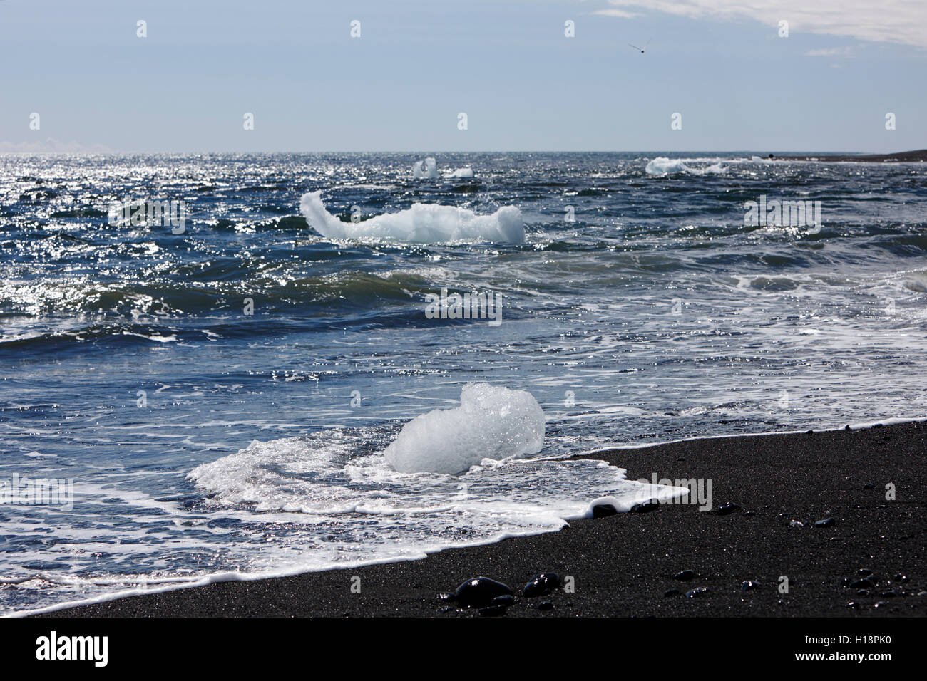 Eisberge am schwarzen Sandstrand am Jökulsárlón Island Abwasch Stockfoto