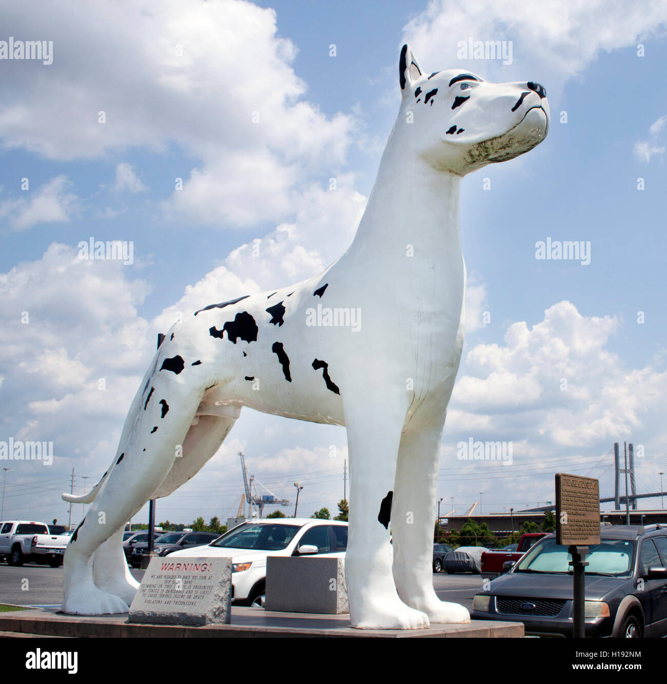 Deutsche Dogge Skulptur in Savannah, Georgia Stockfoto